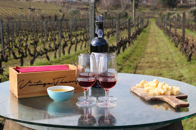Private Douro Valley Wine Tour: 2 Wine Estates, Lunch and Cruise - Group Dynamics