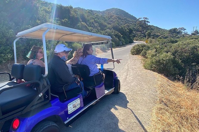 Private Guided Golf Cart Tour of Avalon - Visiting the Wrigley Memorial & Botanical Garden