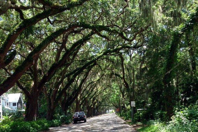 Private Guided Historic Electric Cart Tour of St. Augustine - Exceptional Customer Feedback and Experiences