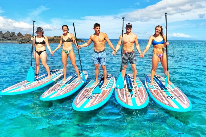 Private Stand Up Paddle Boarding Tour in Turtle Town, Maui - Feedback and Recommendations