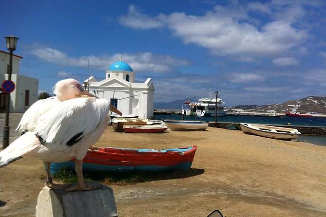 Private Tour: Mykonos Island in Half a Day - Making the Most of Your Time