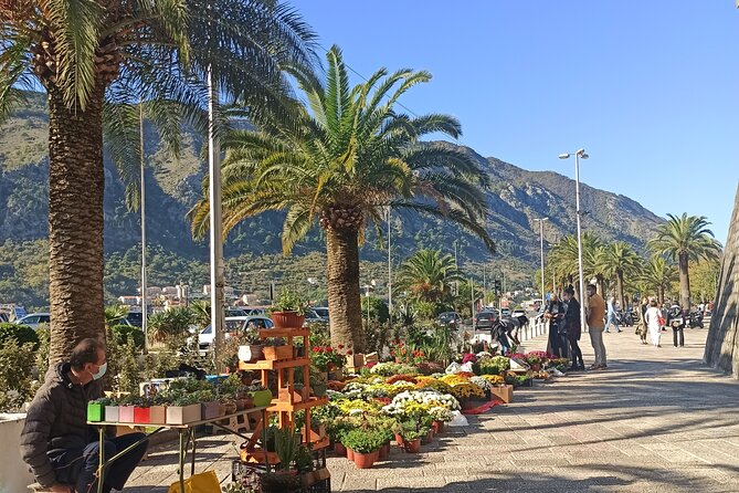 Private Walking Tour With Wine and Food - Why Choose a Private Tour Experience
