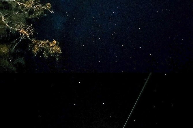 Purmamarca Night Experience - Why Choose the Purmamarca Night Experience?