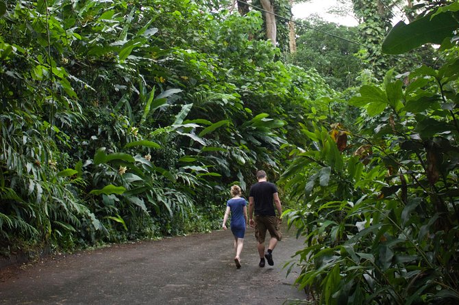 Rainforest Waterfall Trail and Shuttle Service - Suitability and Recommendations