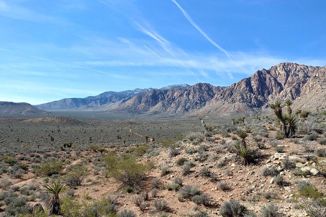 Red Rock Canyon Hike With Transport From Las Vegas - Getting to the Meeting Point