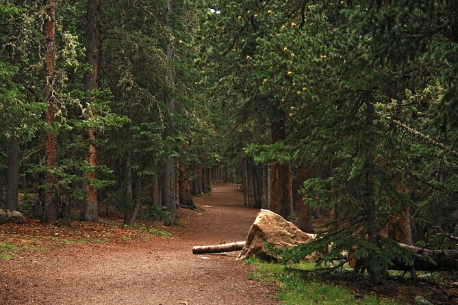 Rocky Mountain Escape - Recommendations and Considerations