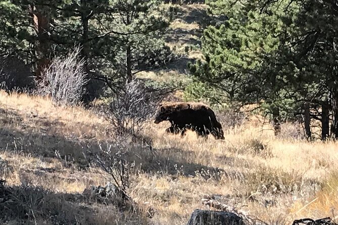 Rocky Mountain National Park in Summer Tour From Denver - Time in Estes Park