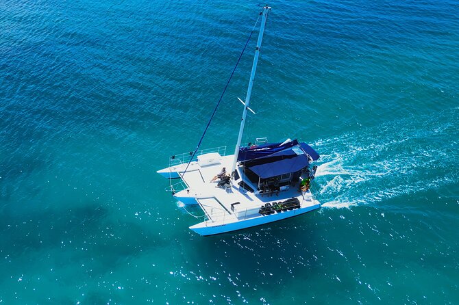 Sail and Turtle Snorkeling Tour in Waikiki - What to Expect on the Tour