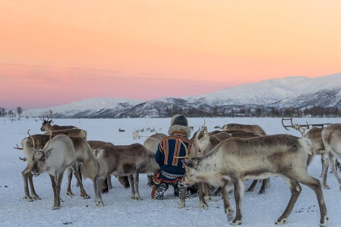 Sami Culture and Short Reindeer Sledding From Tromso - Accessibility and Accommodations