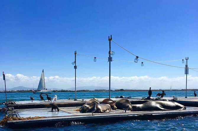 San Diego Harbor Speed Boat Adventure - Discovering San Diegos Landmarks