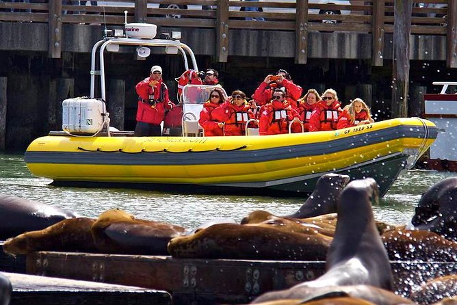 San Francisco Bay Adventure Sightseeing Cruise - Accessibility and Suitability