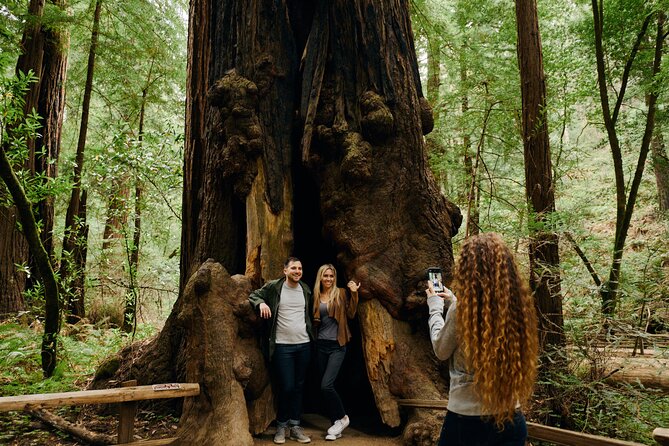 San Francisco, Muir Woods, Sausalito and Optional Alcatraz Tour - Customer Experiences and Feedback