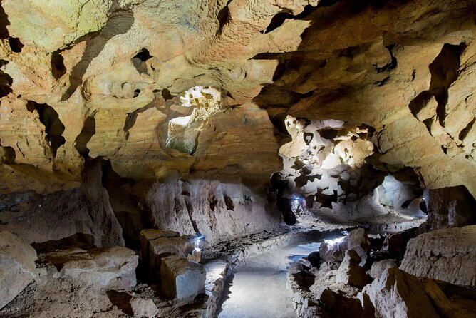 San Jose Caves Guided Tour From Valencia - What to Expect on the Tour
