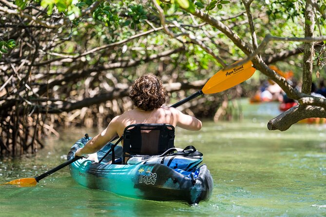 Sarasota Mangrove Tunnel Guided Kayak Adventure - Guided Expertise and Personalized Experiences