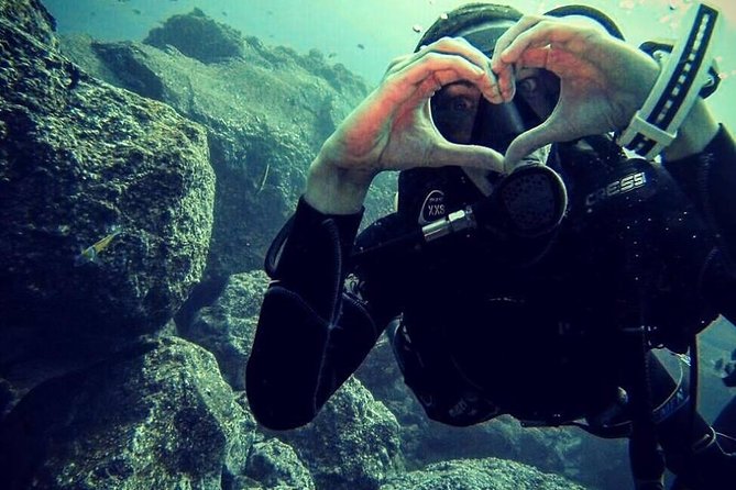 Scuba Diving Experience in Madeira - Additional Information and Recommendations