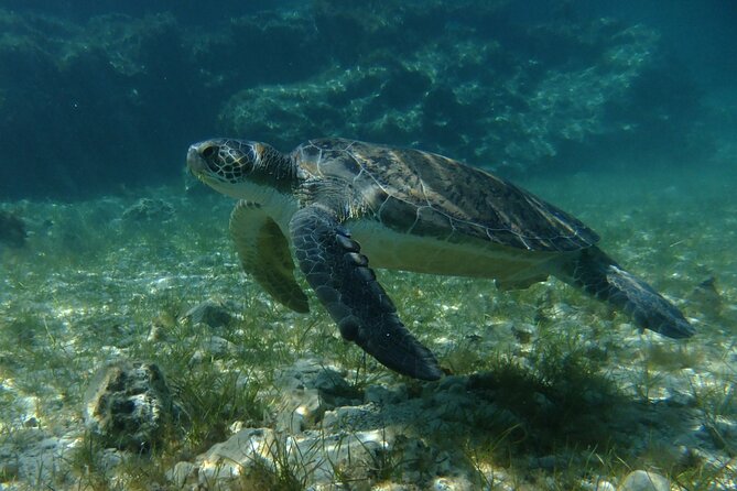 SCUBA DIVING First Time Experience - Why Choose Protaras for Your First Dive