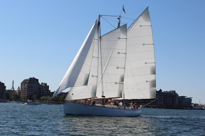 Sightseeing Day Sail Around Boston Harbor - Traveler Feedback and Reviews