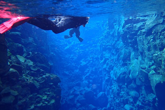 Silfra Fissure Snorkeling From Reykjavík - Free Underwater Photos - Booking and Cancellation Policy