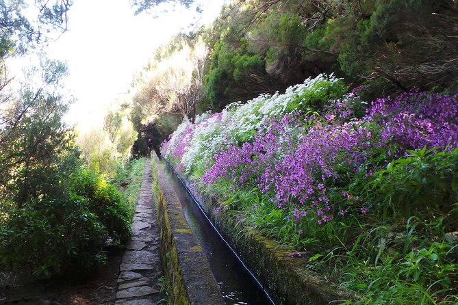Skywalk 4x4 Experience and Rabacal 25 Fountains Levada Walk - What to Expect and Prepare For