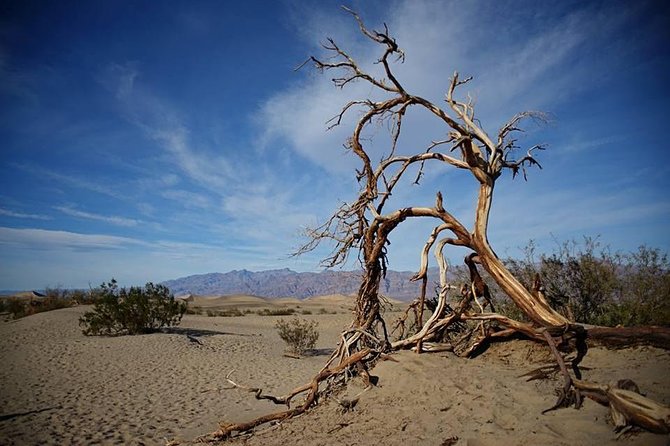 Small-Group Death Valley National Park Day Tour From Las Vegas - Additional Tour Information