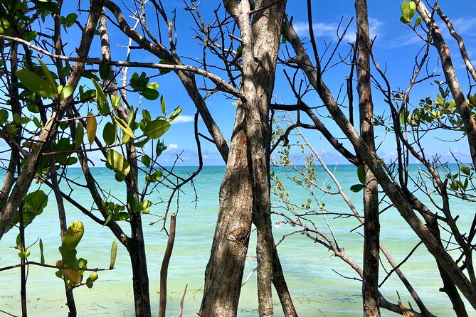 Small Group Kayak Tour of the Shell Key Preserve - Meeting Point and Duration