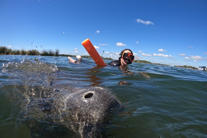 Small Group Manatee Swim Tour With In Water Guide - Planning Your Visit