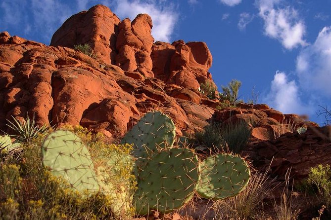 Small Group or Private Sedona and Native American Ruins Day Tour - Airport Mesa