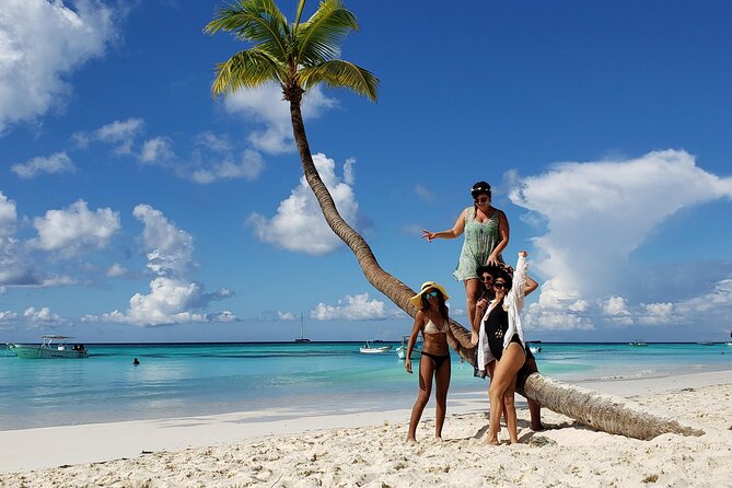 Small Group: Saona Island Full Day Tour - Recommendation