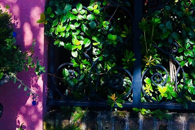 Small-Group Tour: Charleston Old Walled City Historical Walking Tour - Discovering Broad Street