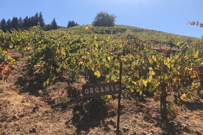 Small-Group Wine Country Tour From San Francisco With Tastings - The Personalized Service Advantage