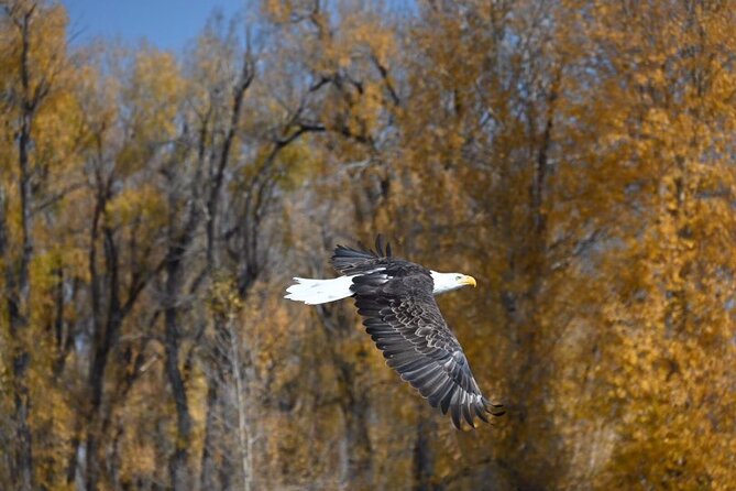Snake River Scenic Float - Planning Your Visit