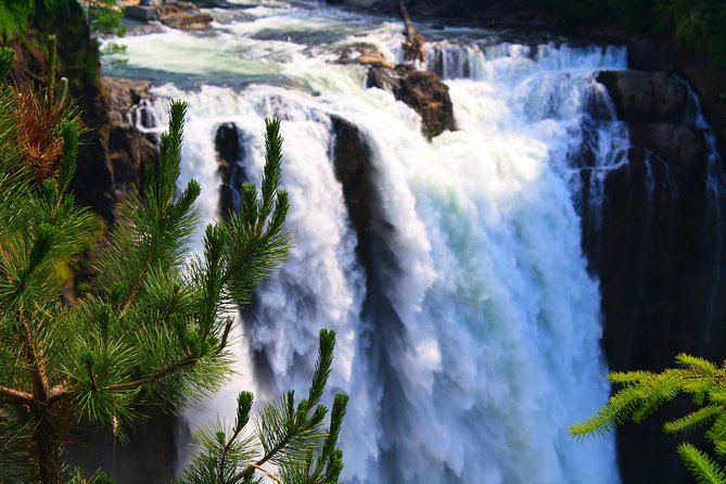 Snoqualmie Falls + Wine Tasting: All-Inclusive Small-Group Tour - Tour Guide Highlights