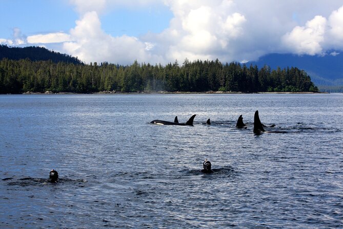 Snorkel Alaska - Exploring the Underwater World
