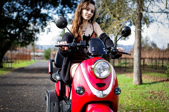 Sonoma Wine Country Electric Trike Tour - 3 Hours - Culinary and Wine Tasting Experiences