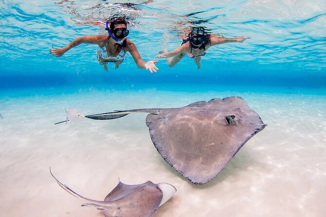 Starfish and Stingray City Fun Tour With Reef Snorkeling- 3 Stops - Customer Feedback and Testimonials