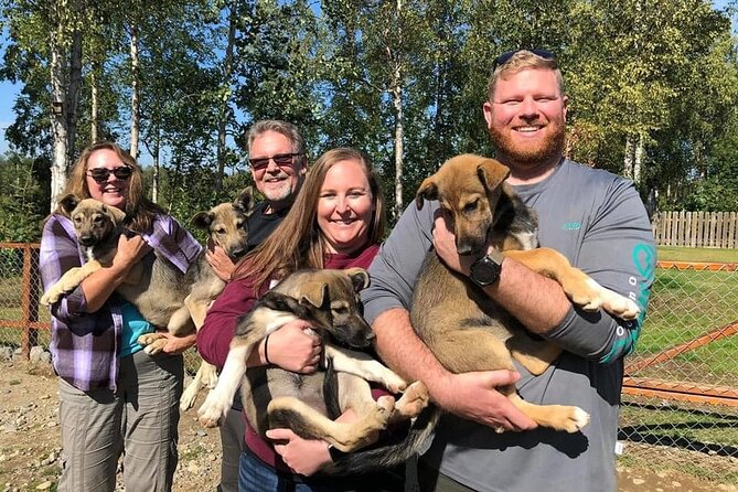Summer Dog Sledding Adventure in Willow, Alaska - What to Expect From the Summer Dog Sledding Experience