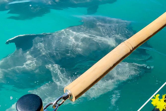 Tiki Boat - Clearwater - The Only Authentic Floating Tiki Bar - Unique Selling Points