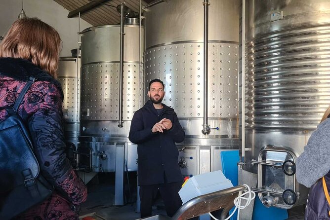 TOP WINE TOUR- Vineyard & Cellar Visit + 6 TOP WINEs + Tapas - The Guides Role in Enhancing the Experience