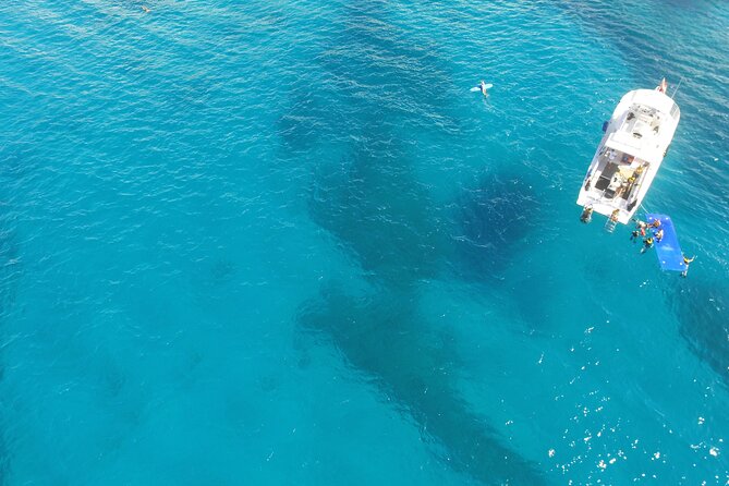 Turtle Canyons Snorkel Excursion From Waikiki, Hawaii - Preparing for the Adventure