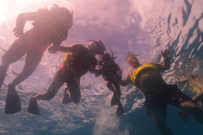Turtle Snorkeling Boat Tour and Adventure in Waikiki - Making the Most of Your Turtle Encounter