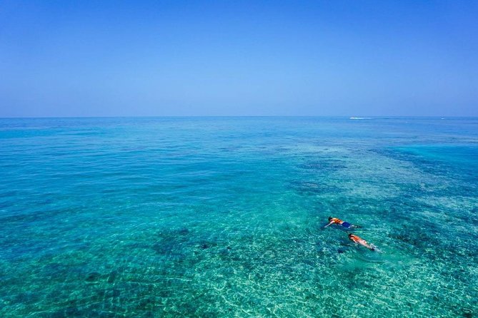Turtle Town Snorkel With Photo and Video - Health and Safety Considerations