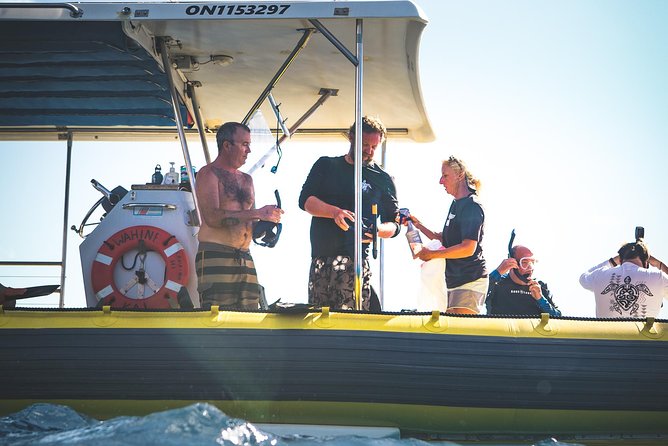 Ultimate 4 Hour Lanai Snorkel and Dolphin Encounter - Customer Feedback and Ratings