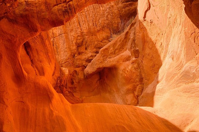 Valley of Fire and Mojave Desert Day Tour From Las Vegas - Discovering the Mojave Desert