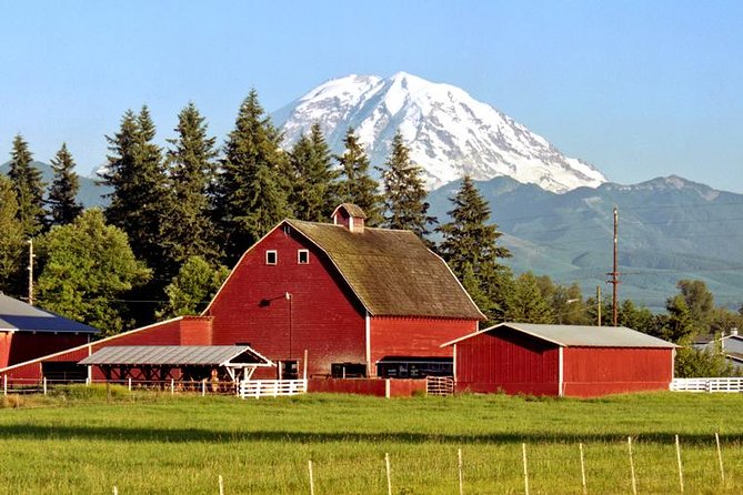 Viator Exclusive Day-Tour From Seattle to Mt. Rainier - Customer Feedback and Recommendations
