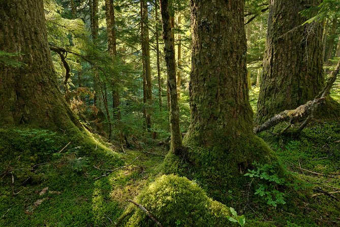 Visit Snoqualmie Falls and Hike to Twin Falls - Discovering Olallie State Park