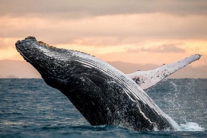 Waikiki Beach Glass Bottom Boat Cruise - Booking and Cancellation Policies