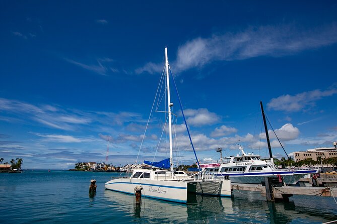 Waikiki Catamaran Adventure: Snorkel With Sea Turtles - Preparation and What to Bring