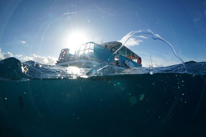 Waikiki Snorkel Tour - Guests Experiences and Feedback