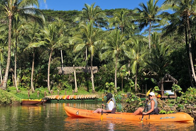 Wailua River & Waterfalls Kayak Tour: Expert-Guided Adventure - Preparing for the Adventure