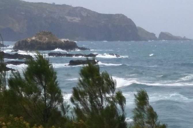 West Maui Mountain Waterfall and Ocean Tour via Horseback - Visitor Feedback and Ratings